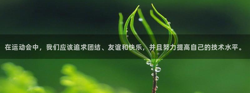 公海赌赌船官网下载平台注册流程视频:在运动会中,我们应该追求