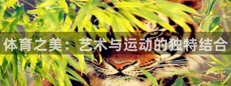 公海赌赌船官网下载平台是正规平台吗安全吗:体育之美:艺术与运